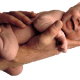 Neonato in braccio