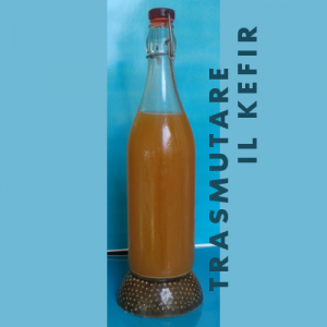 Kefir su Orgonite
