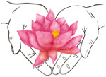 Hands offering
